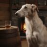 home aging of whiskey